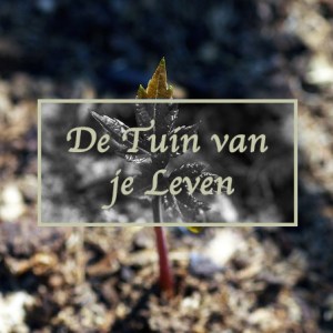 De Tuin van je Leven